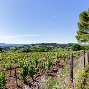 Park Castellet Provence - Dans Les Vignes Aoc Bandol à 15 Min Des Plages Et Du Circuit Paul Ricard F1 Le Beausset